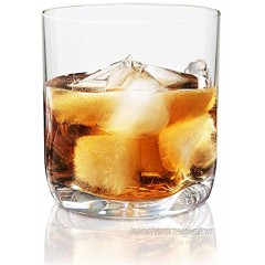 Vivocci Unbreakable Tritan Plastic Rocks 12.5 oz Whiskey & Double Old Fashioned Glasses | Thumb Indent Glassware | Ideal for Bourbon & Scotch | Perfect For Homes & Bars | Dishwasher Safe | Buy 6 Pay 5