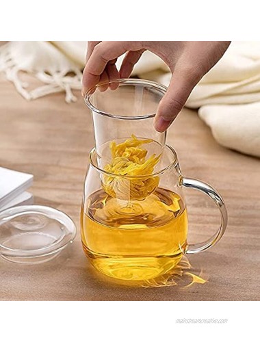 Glass Tea Mug Cup Kits with Tea Infuser Heat Resistant 500 ml Great Gift idea