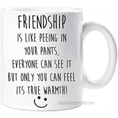 Friendship Is Like Peeing In Your Pants Mug Best Friend Funny Gift Present