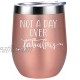 Not a Day Over Fabulous Funny Birthday Christmas Wine Gifts Ideas for Women Wife Mom Mother in Law Daughter Sister Best Friend BFF Coworker Her Coolife 12oz Insulated Wine Tumbler w  Lid