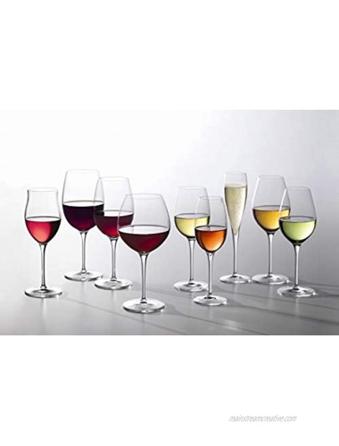 Luigi Bormioli Vinoteque 6 oz Wine Champagne Glasses 6 Count Pack of 1 Clear