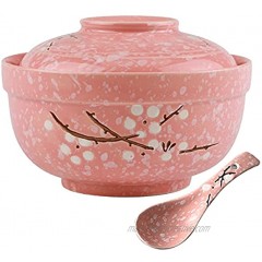 LLDAYU Japanese Creative Hand-Painted Ceramic Bowls with Soup Spoon  Large 27.5 OZ ramen bowls Soup bowls ,with Heat Preservation Function and Suitable for Microwave Oven and Dishwasher- pink