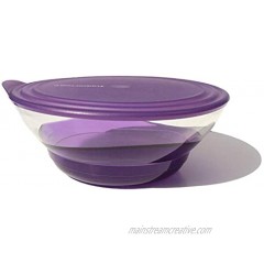 Tupperware Acrylic Sheerly Elegant Large Bowl Purple