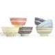 Porcelain Serving Bowls for Cereal Pasta,Soup 21-Ounce Set of 6 Assorted Colors