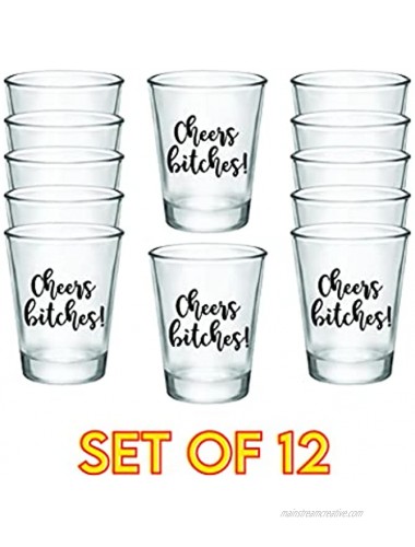 Cheers Bitches! Party Shot Gasses 1.75oz Set of 12 Perfect Birthday Party Shot Glasses Bachelorette Party Shot Glasses or any Occasion