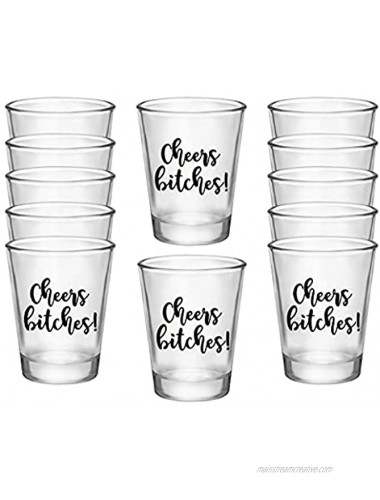 Cheers Bitches! Party Shot Gasses 1.75oz Set of 12 Perfect Birthday Party Shot Glasses Bachelorette Party Shot Glasses or any Occasion