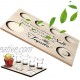 Shot Glasses Tray Wooden Tequila Board with Salt Rim Handmade Shot Glass Holder Tray Take Everything with a Grain of Salt and a Shot of Tequila Shot Glass Server Tequila Flight Board for Liquor