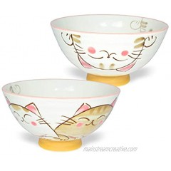 Japanese Handcrafted Rice Bowl Authentic Mino Ware Pottery Calico Cat Motif Design MIKE Pink Chawan set of 2