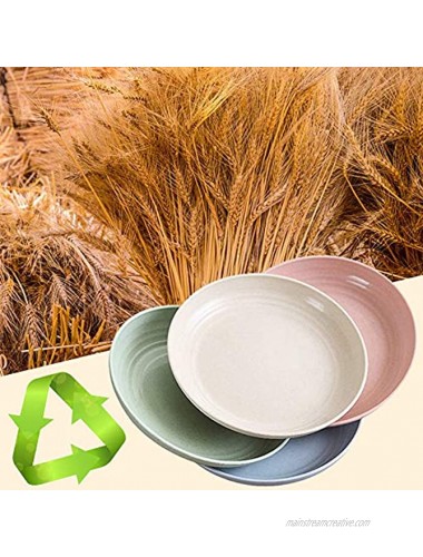 4 Pack 9 inch Lightweight Wheat Straw Plates,Unbreakable Dinner Plates Dishwasher & Microwave Safe for Children Adult