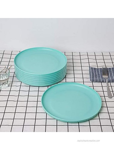 Unbreakable and Reusable 9.75-inch Plastic Dinner Plates Set of 8 Teal Microwave Dishwasher Safe BPA Free