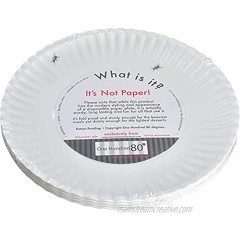 "What Is It?" Larger Size 11-inch Reusable White Dinner Plate with Ant Design Melamine Set of 4