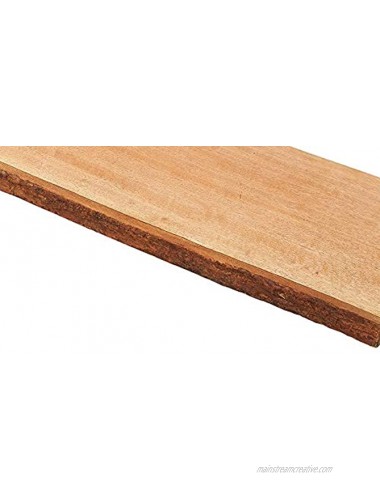 Zassenhaus Mango Wood Paddle Serving Board 23 x 7.5 Brown